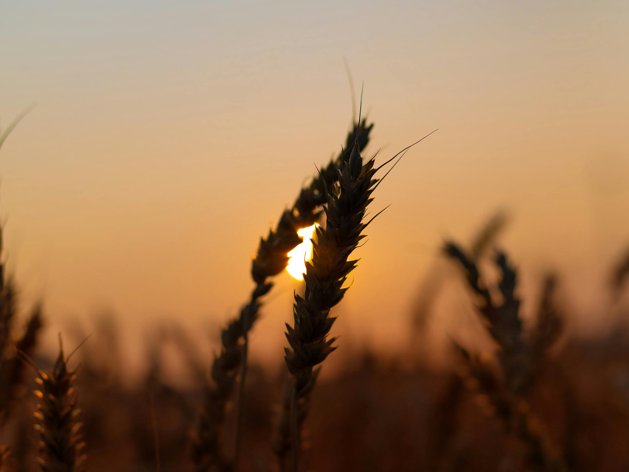 放慢生活倍速，享受风吹日晒丨祝大家五一出行愉快！